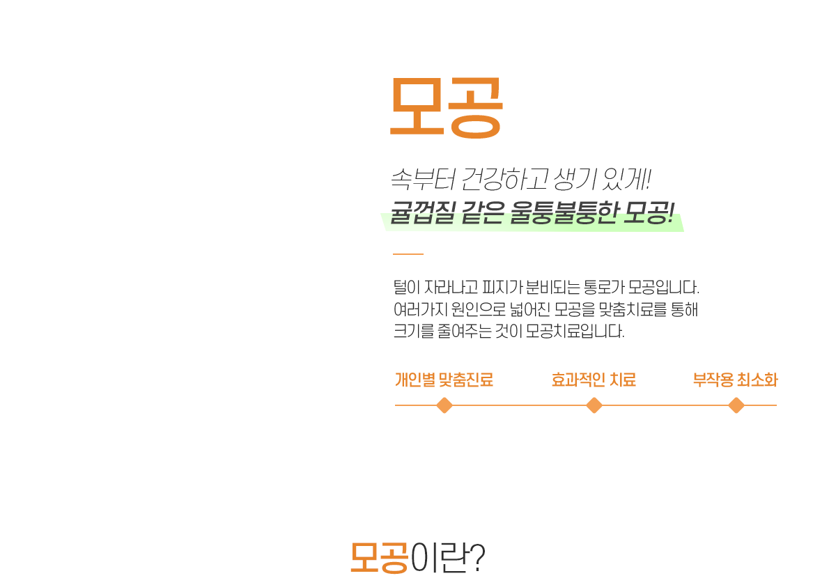 모공