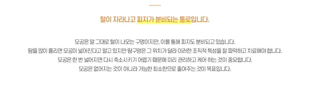 모공이란