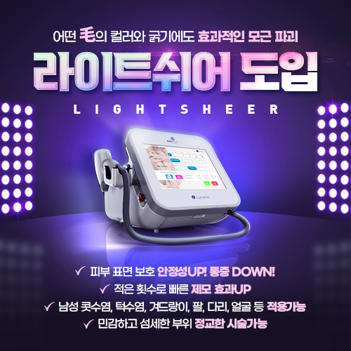 라이트쉬어도입