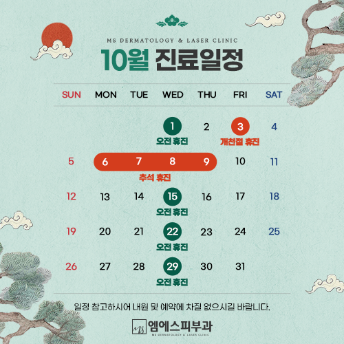 진료일정