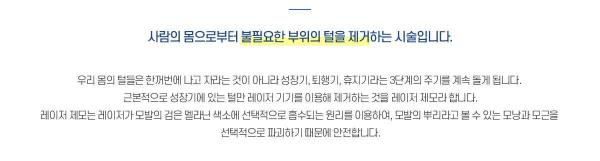제모란